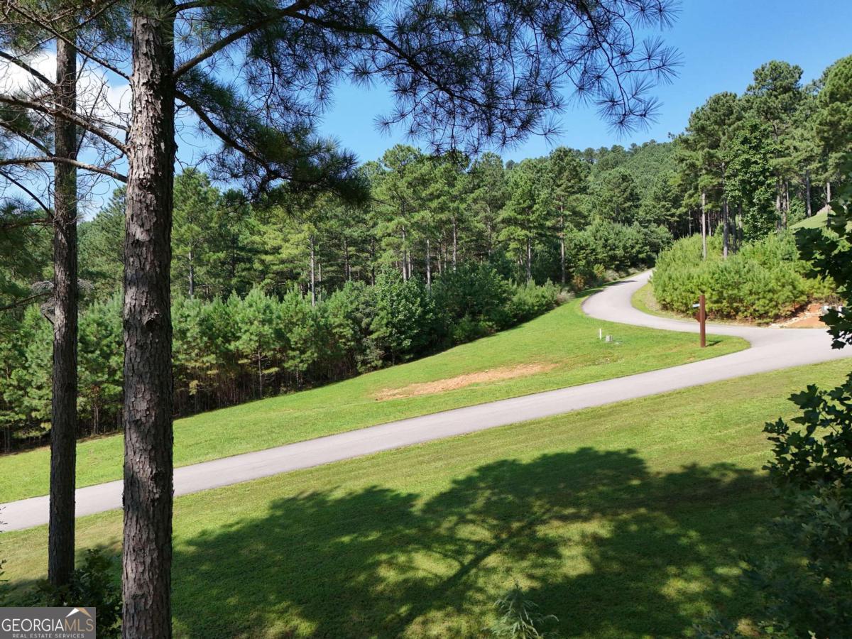 Lot 121 Stables Rise Blairsville, GA 30512 - Photo 10 of 51