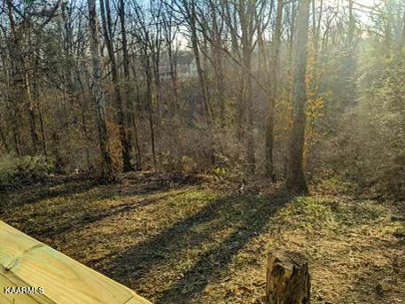 232 East Red Bud Road Knoxville, TN 37920 - Photo 34 of 34 a view of a yard with plants