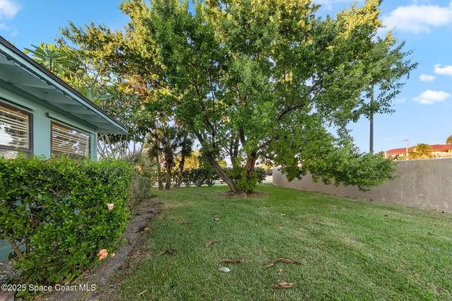 a view of yard with green space