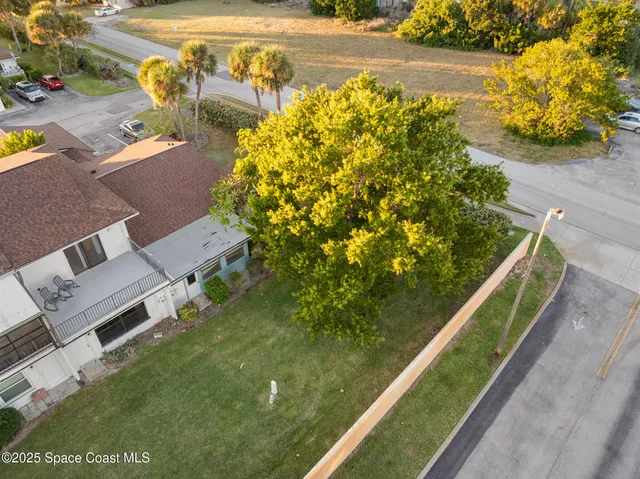 a view of a yard with plants