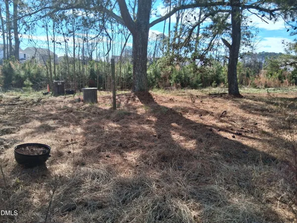 a view of a backyard with large trees