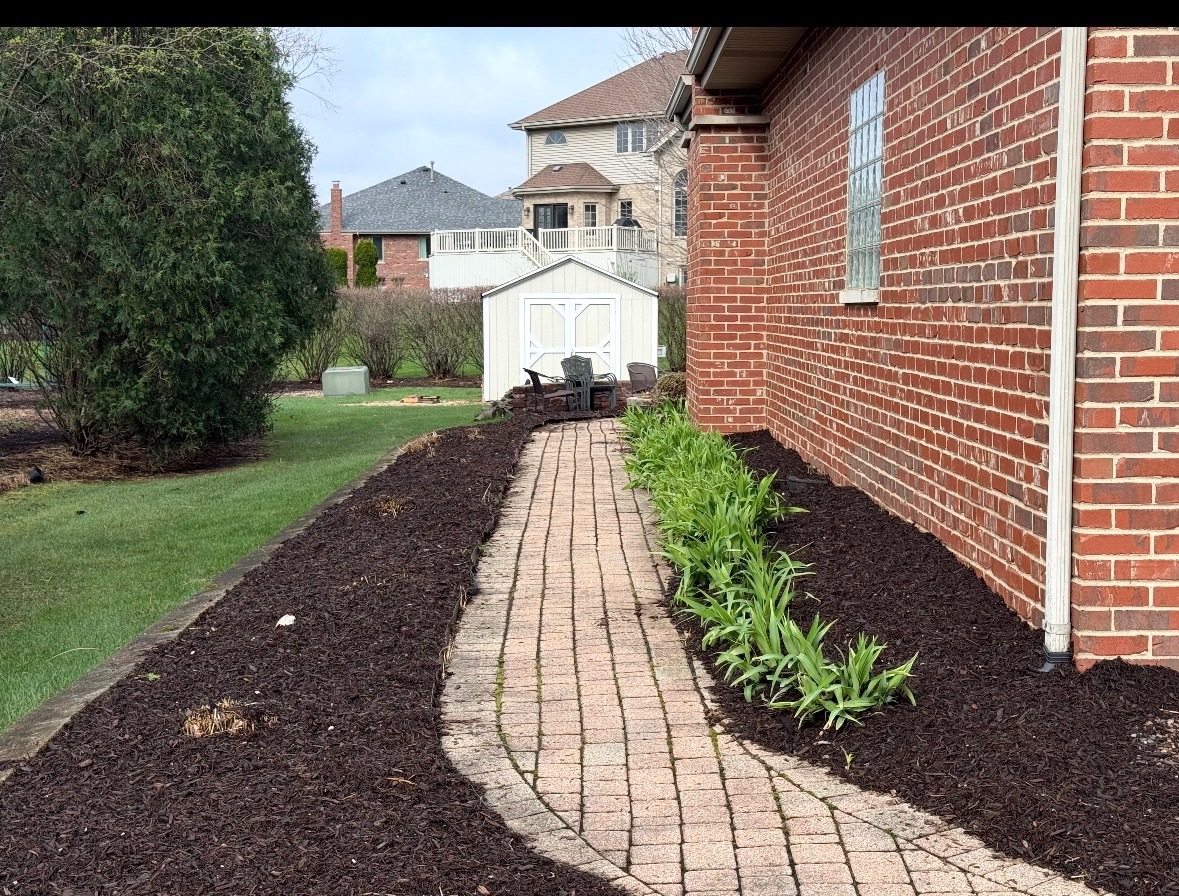 20004 Everett Lane Mokena, IL 60448 - Photo 25 of 31
