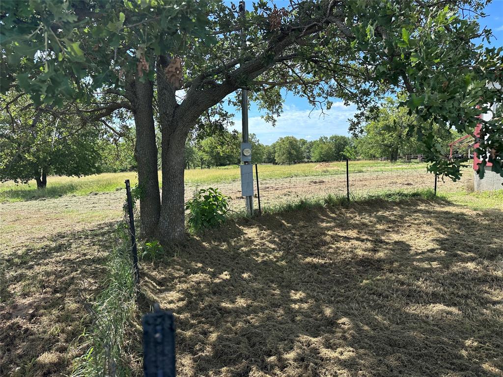 570 Big Salty Lane Springtown, TX 76082 - Photo 17 of 36 Mature tree providing natural shade, accompanied by a utility box and fencing, with expansive open land visible beyond