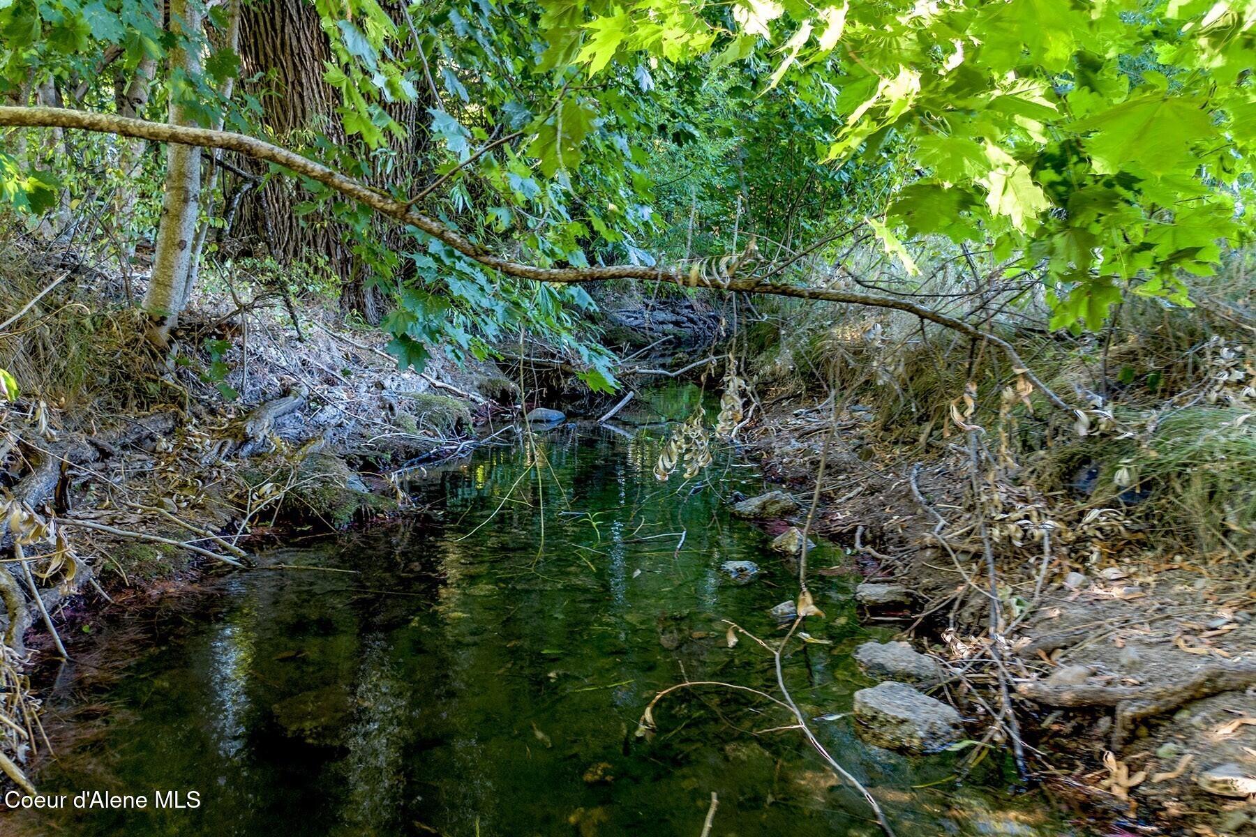 15544 North Gray Rathdrum, ID 83858 - Photo 2 of 40 Creek