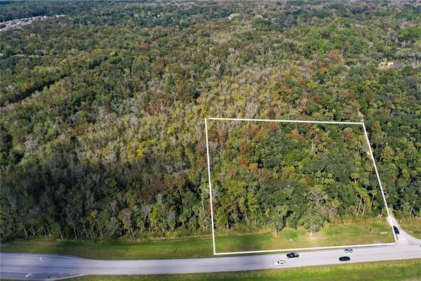 a view of a yard
