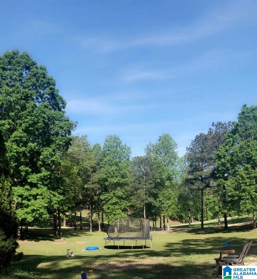 548 Pike Road Woodstock, AL 35188 - Photo 3 of 22
