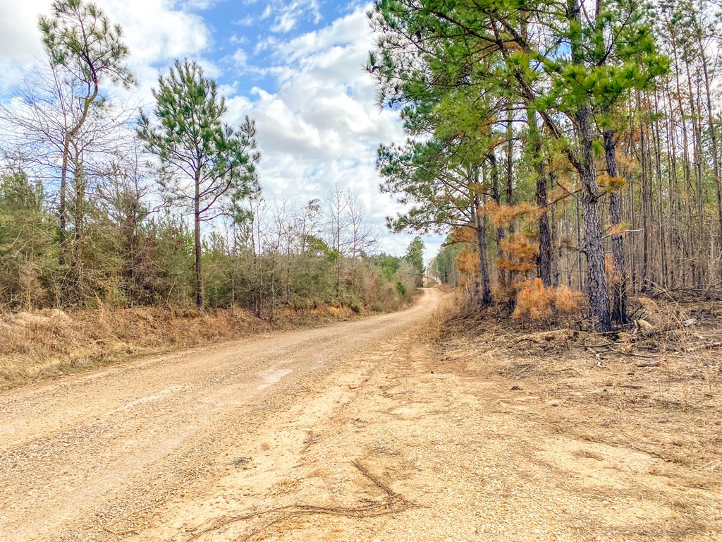 4020 Powell Road Liberty, MS 39645 - Photo 29 of 45 Photo 29