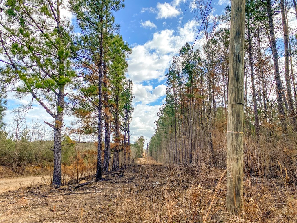 4020 Powell Road Liberty, MS 39645 - Photo 30 of 45 Photo 30