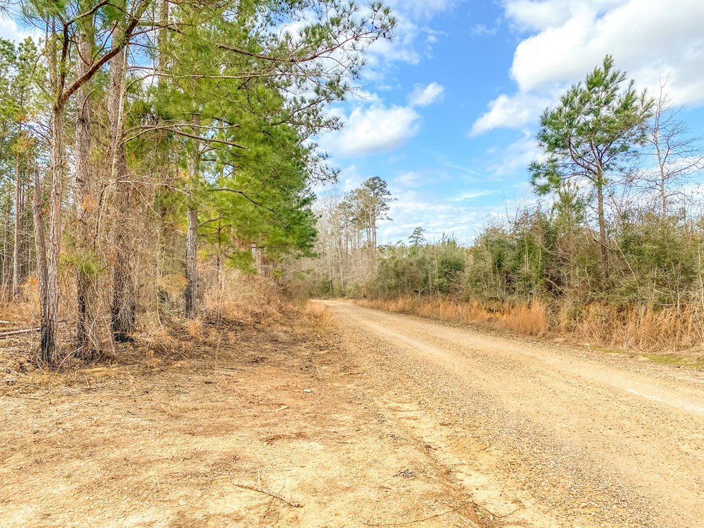 4020 Powell Road Liberty, MS 39645 - Photo 3 of 45 Photo 3