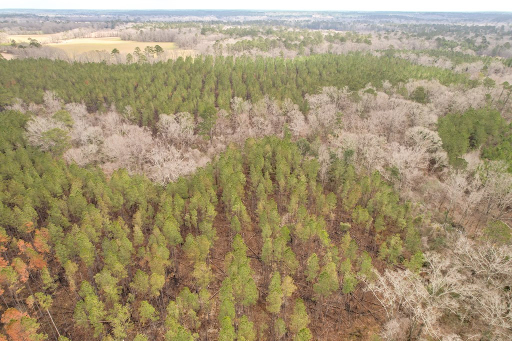 4020 Powell Road Liberty, MS 39645 - Photo 34 of 45 Photo 34