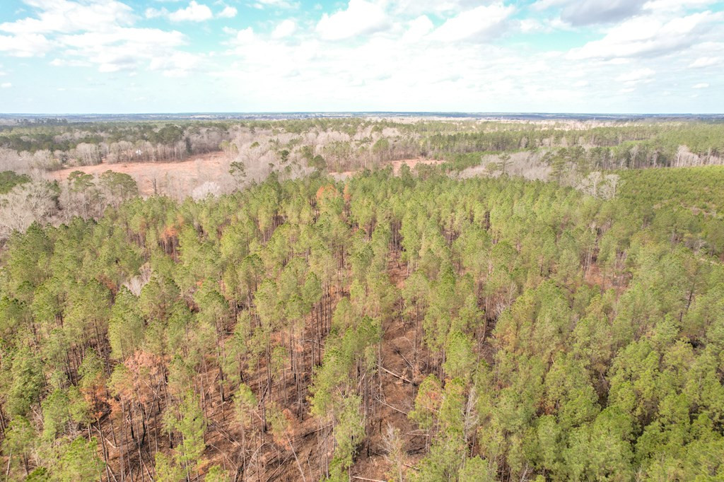 4020 Powell Road Liberty, MS 39645 - Photo 8 of 45 Photo 8