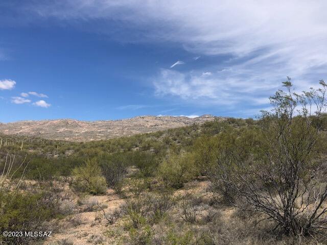 East Rincon Creek Ranch Road, Unit B Tucson, AZ 85747 - Photo 7 of 10