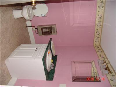 14651 1 Mile Road Morley, MI 49336 - Photo 8 of 10 Additional Photo