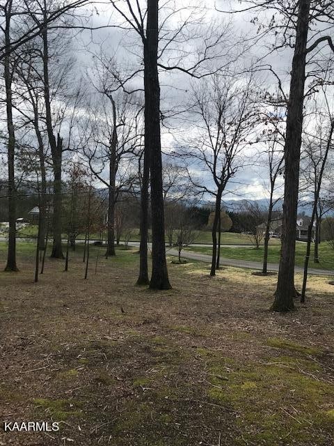 122 Adams Road Walland, TN 37886 - Photo 1 of 14 Gallery Image 1