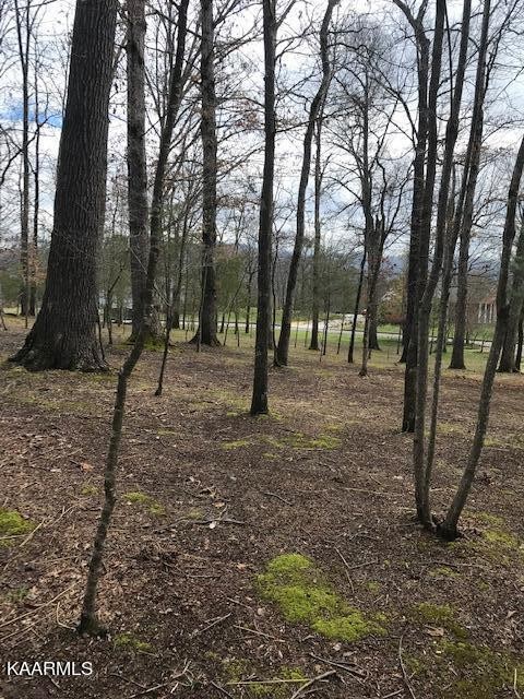 122 Adams Road Walland, TN 37886 - Photo 3 of 14 Gallery Image 3