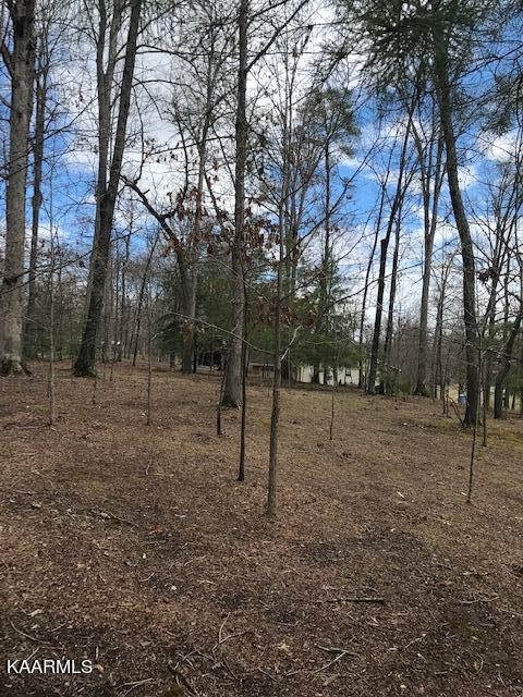 122 Adams Road Walland, TN 37886 - Photo 4 of 14 Gallery Image 4