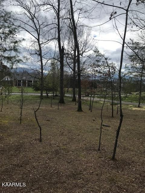 122 Adams Road Walland, TN 37886 - Photo 6 of 14 Gallery Image 6