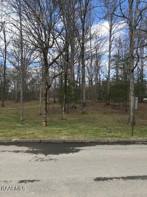 122 Adams Road Walland, TN 37886 - Photo 8 of 14 Gallery Image 8