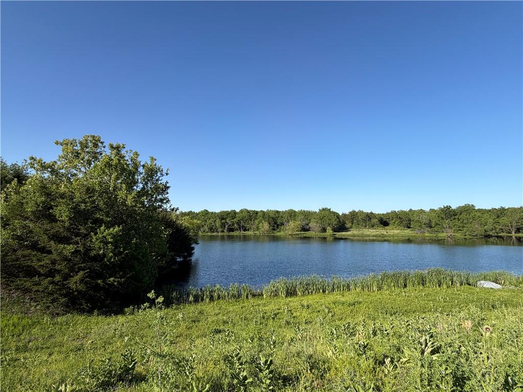 4345 Douglas Road Lane, KS 66042 - Photo 10 of 23