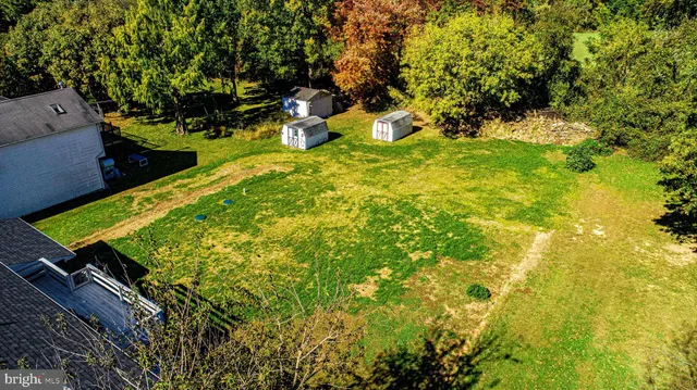 a view of a trees with a big yard and large trees