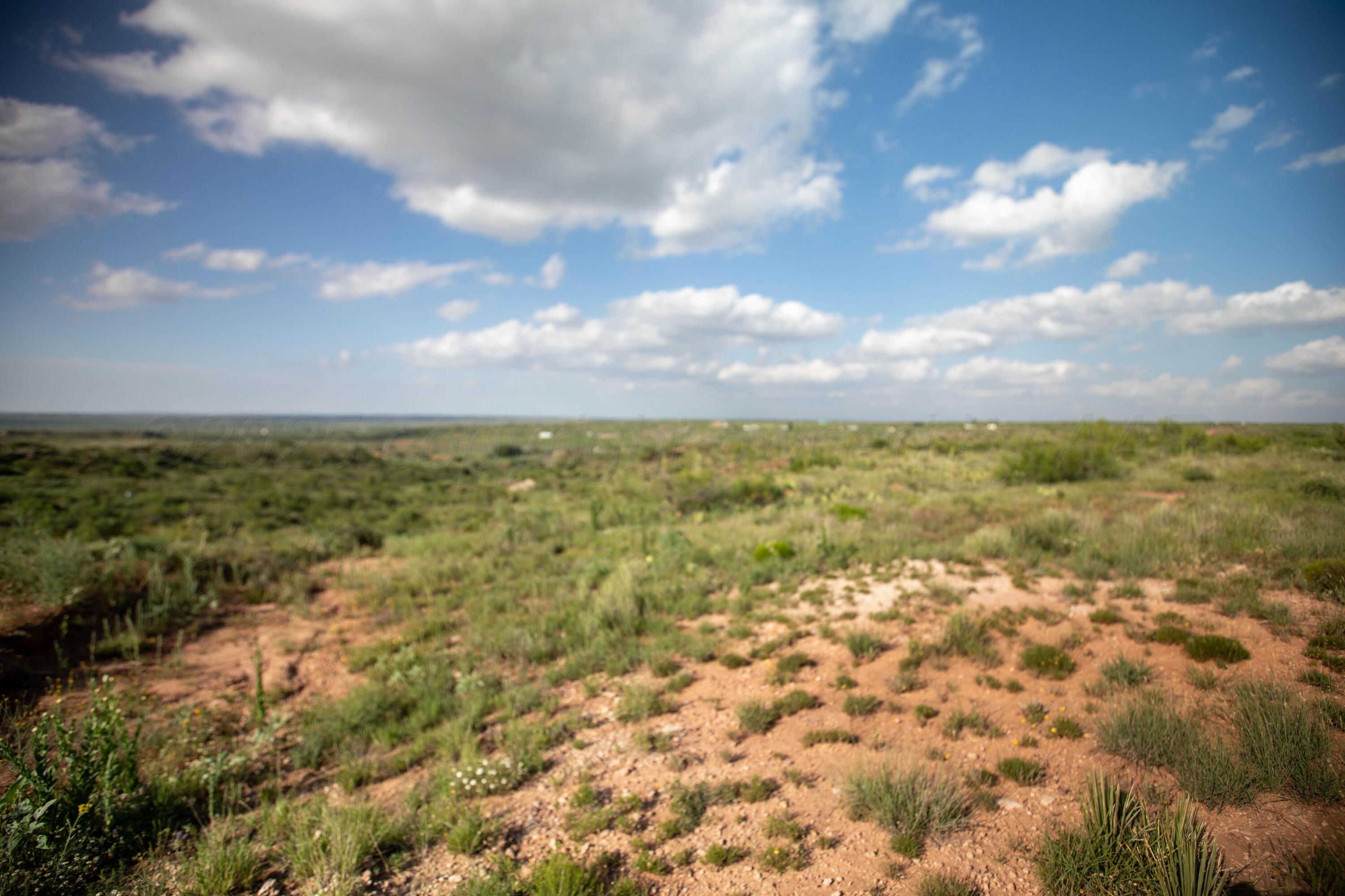 20700 Murray Loop Amarillo, TX 79124 - Photo 4 of 10 1R0A0822