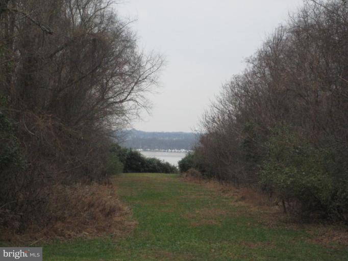 707 Rosier Road Fort Washington, MD 20744 - Photo 4 of 24 Walkway to secluded beach on the Potomac