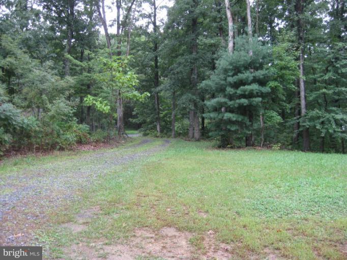 2164 Fulton Road Hedgesville, WV 25427 - Photo 15 of 18 DRIVEWAY