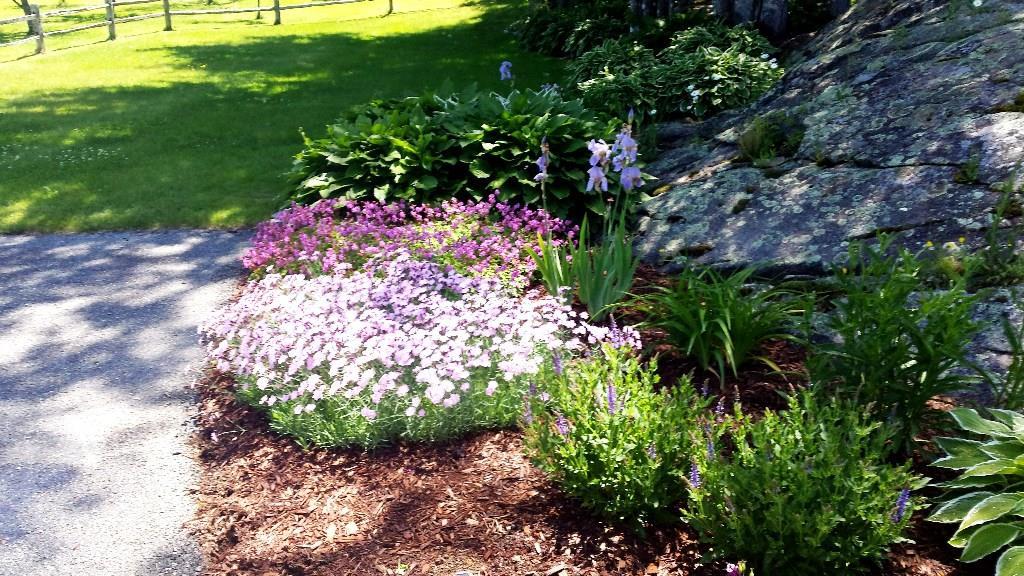 170 Kelleytown Road Bernard, ME 04612 - Photo 4 of 33 Perennials abound all over the yard
