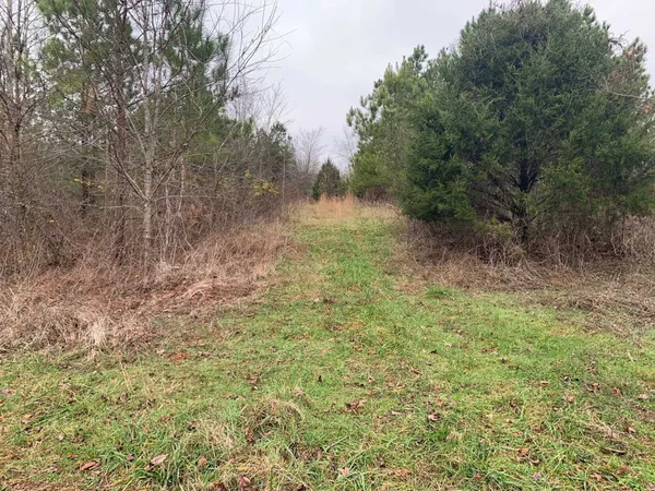 $74,100 | 9 Sulphur Springs Road, Selmer, TN 38375