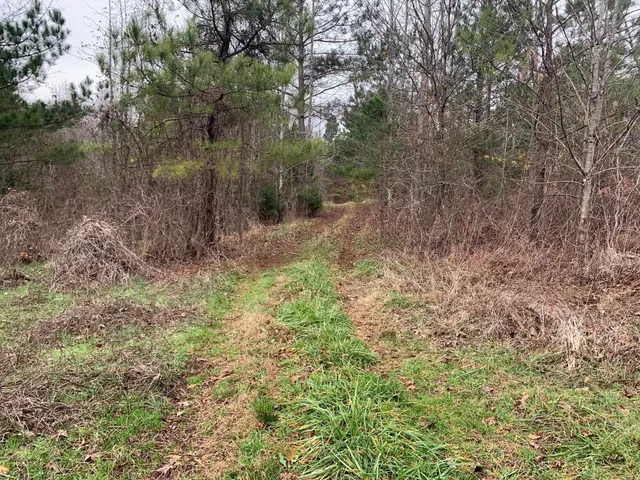 $74,100 | 9 Sulphur Springs Road, Selmer, TN 38375