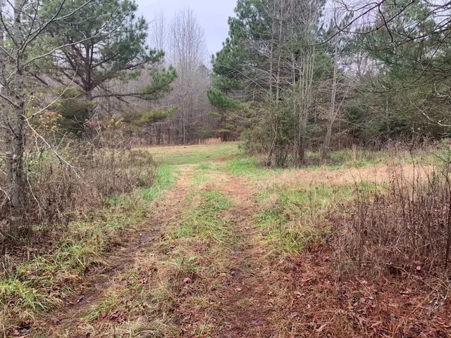 $74,100 | 9 Sulphur Springs Road, Selmer, TN 38375