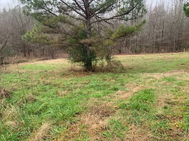 $74,100 | 9 Sulphur Springs Road, Selmer, TN 38375