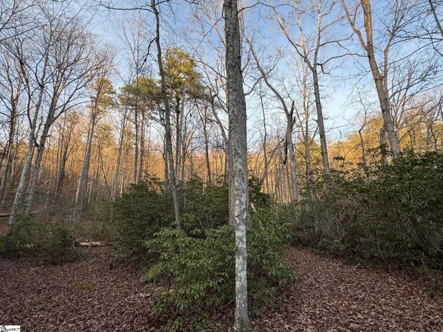 $119,500 | Lot 24 Mountaire Way, Travelers Rest, SC 29690