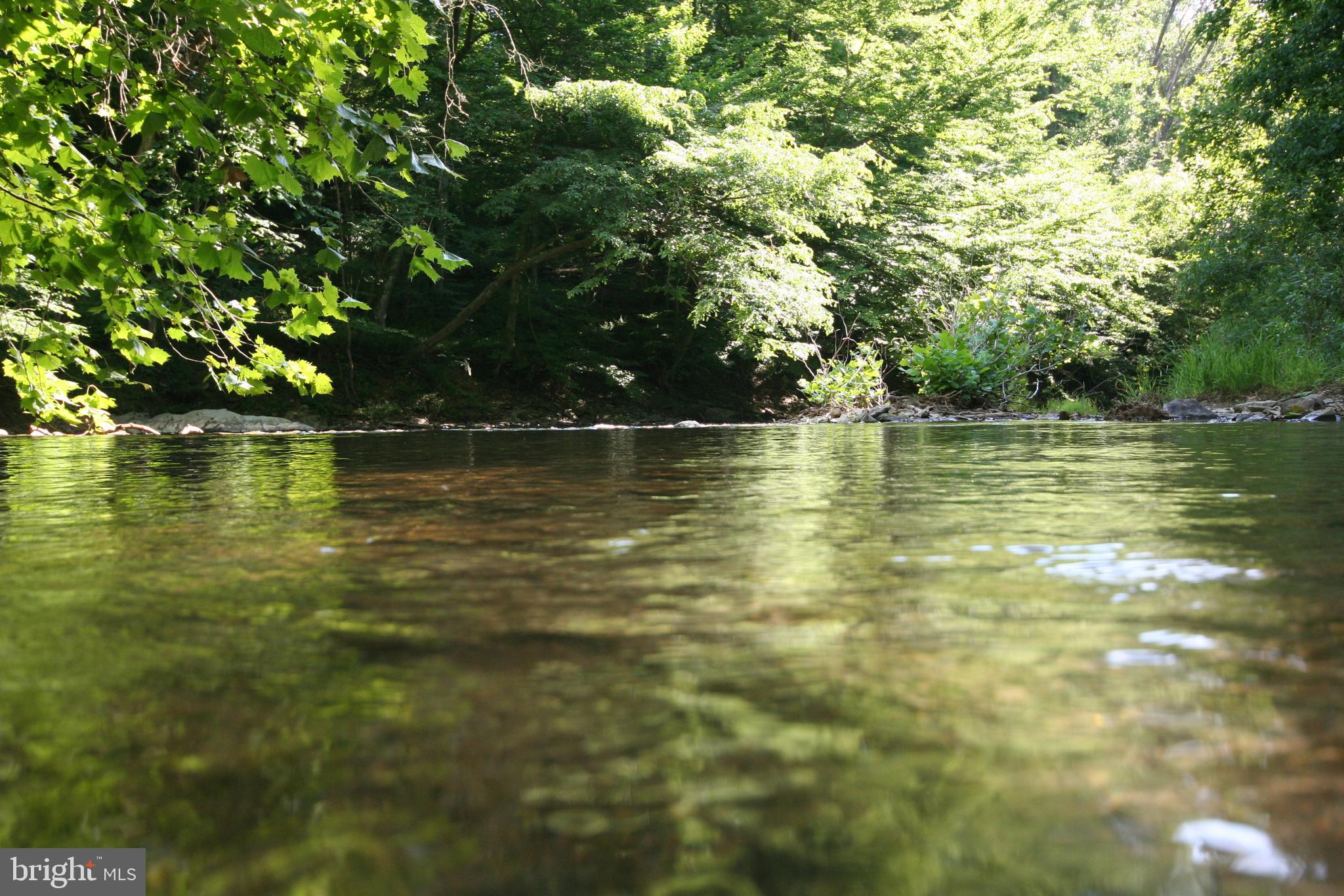 8199 Peters Road Frederick, MD 21704 - Photo 14 of 24 Beautiful Bennett Creek