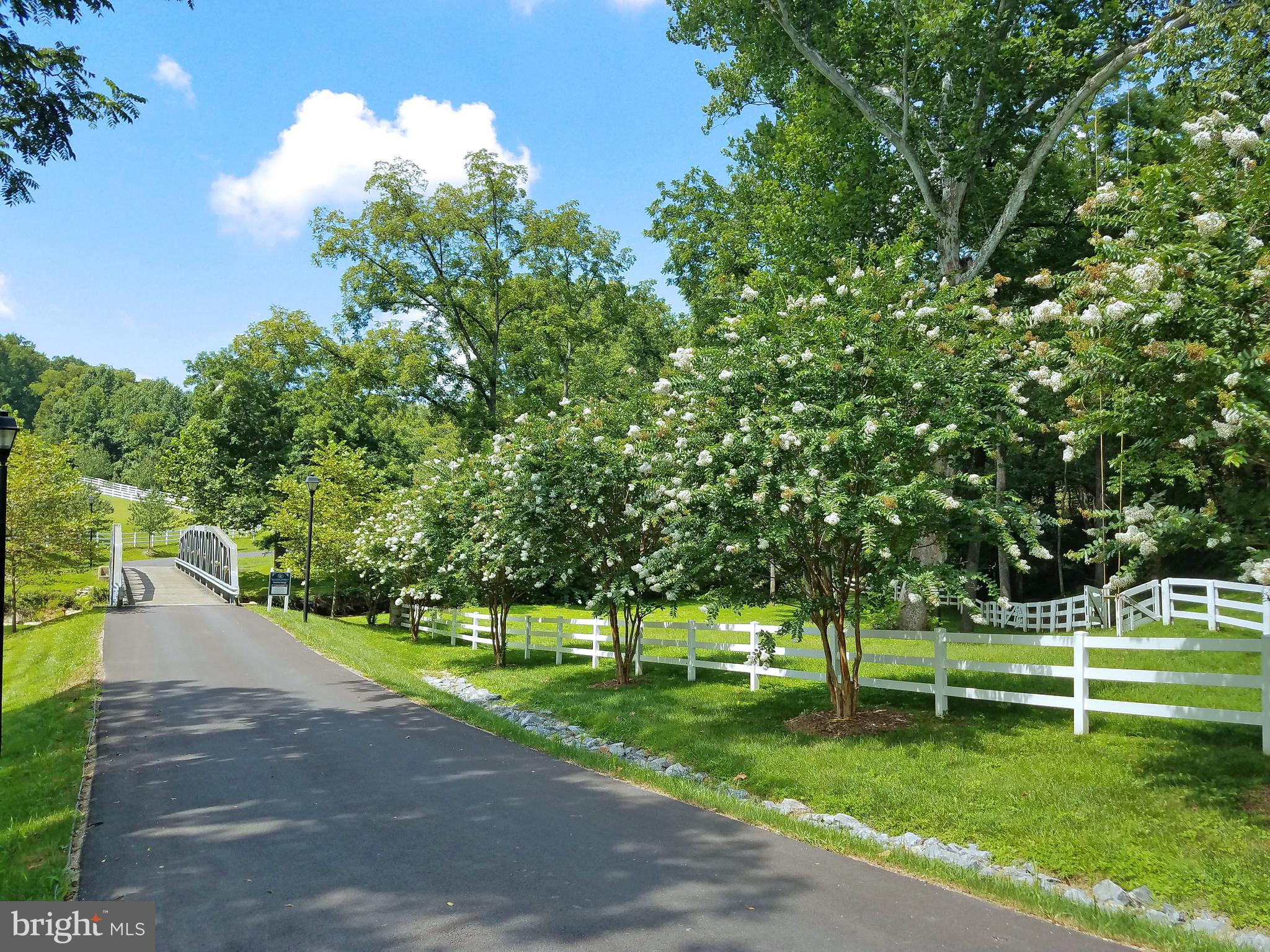 8199 Peters Road Frederick, MD 21704 - Photo 15 of 24 Scenic View