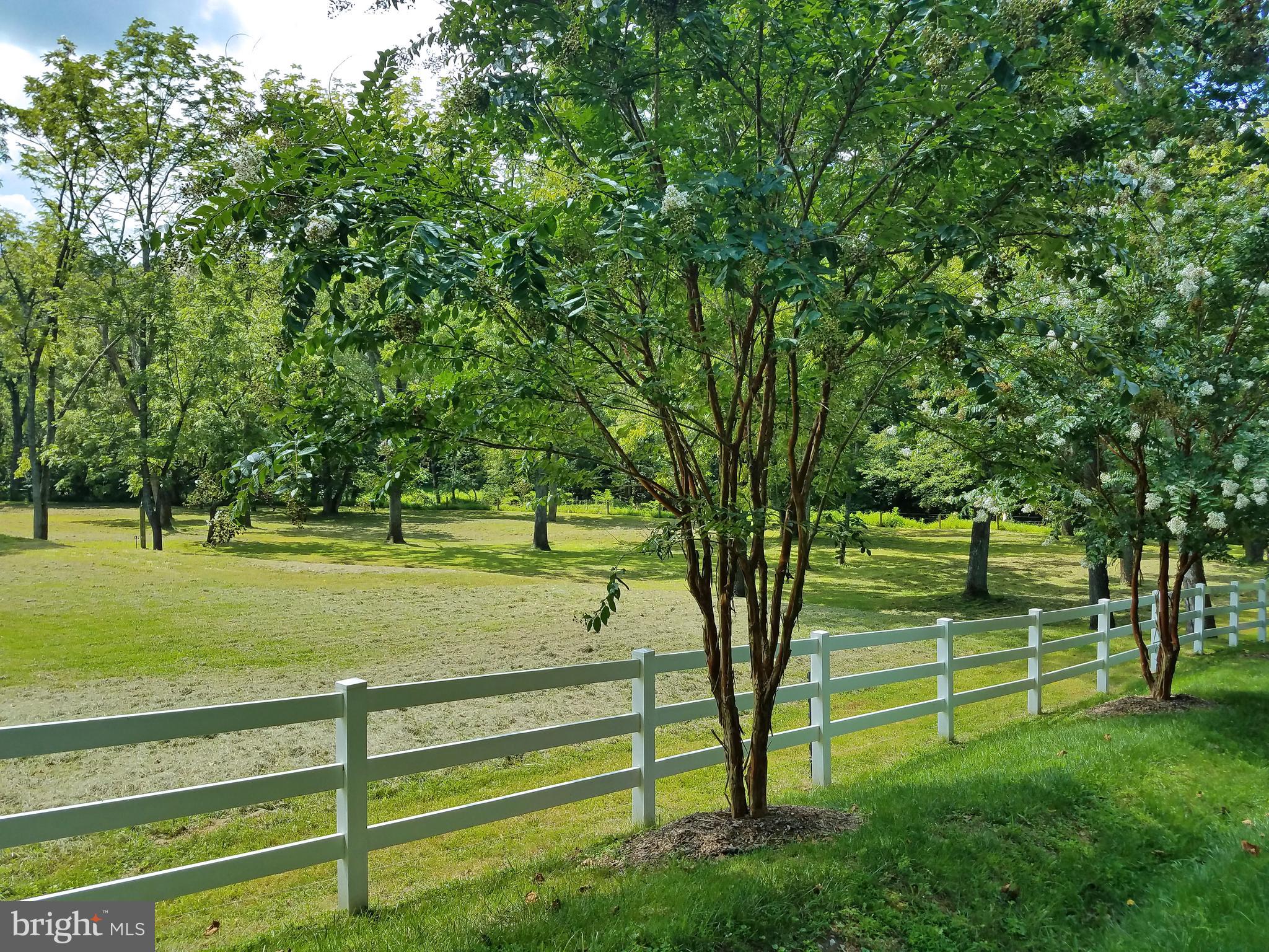 8199 Peters Road Frederick, MD 21704 - Photo 16 of 24 Scenic View