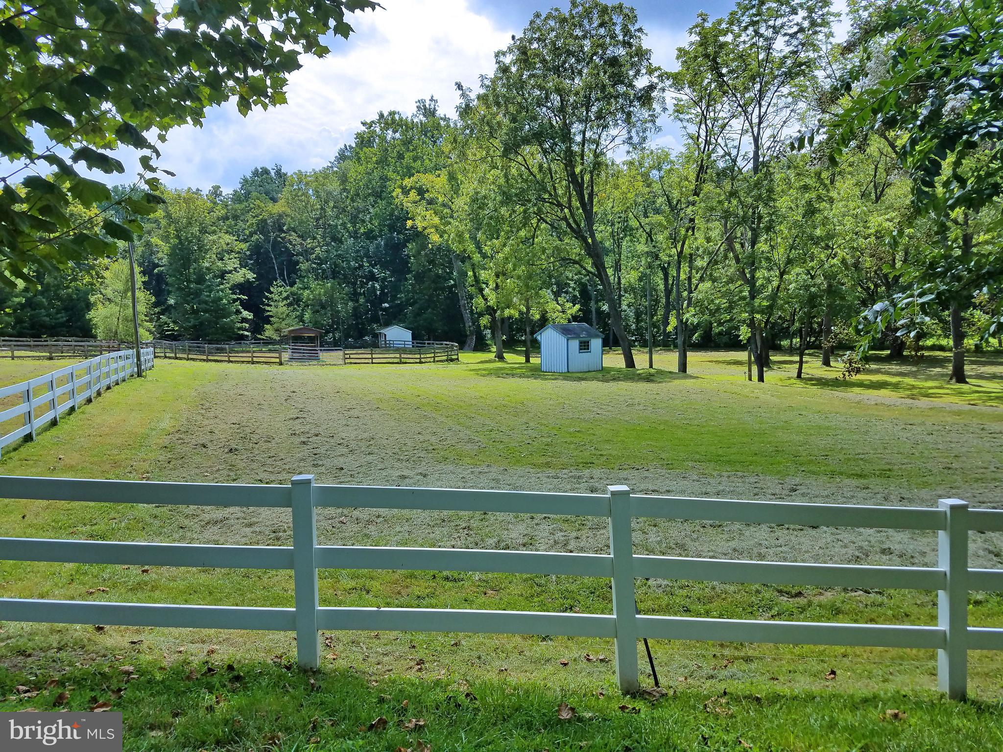 8199 Peters Road Frederick, MD 21704 - Photo 17 of 24 Pastures