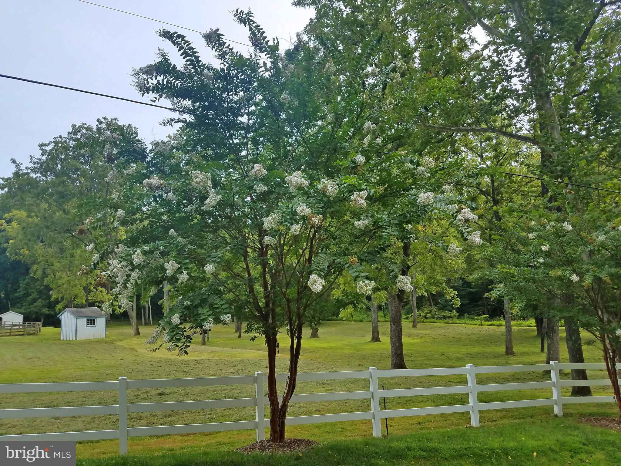 8199 Peters Road Frederick, MD 21704 - Photo 5 of 24 Pasture