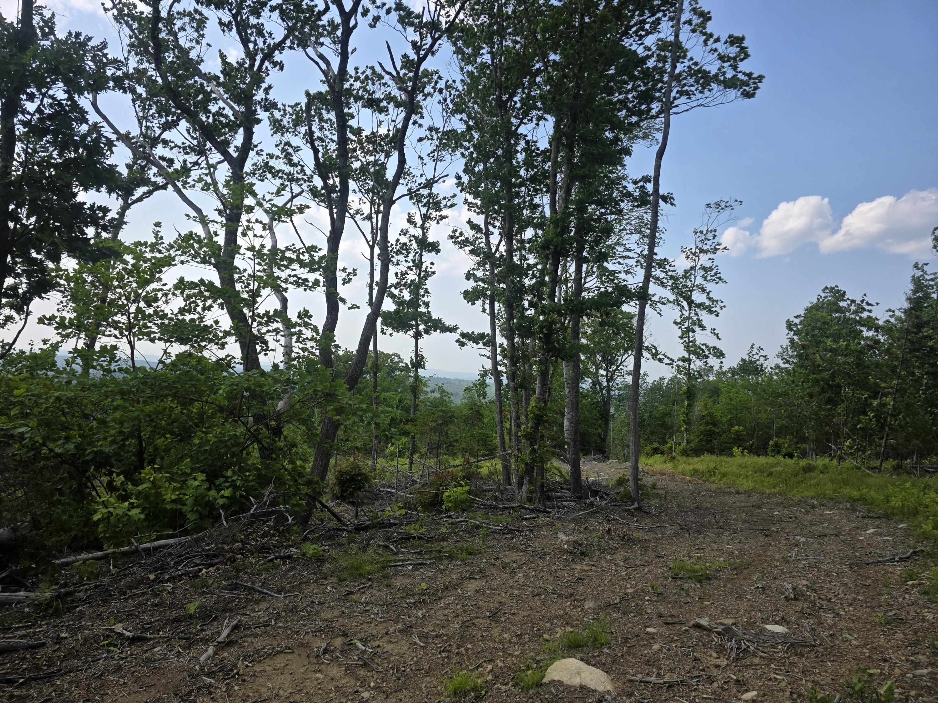 74 French Town And Muzzy Ridge Road Searsmont, ME 04973 - Photo 6 of 39 1000019024