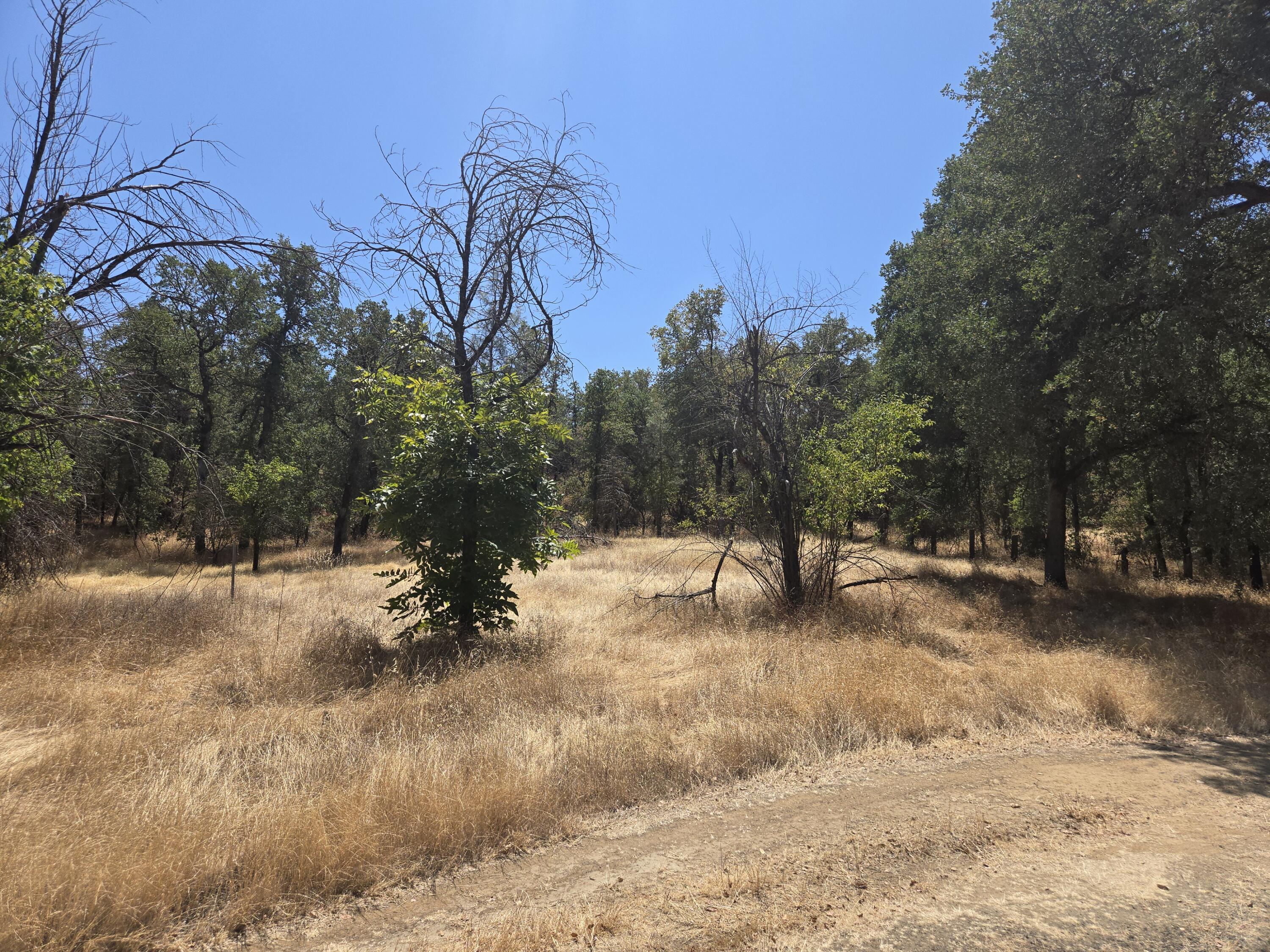 18353 Old Oasis Road Redding, CA 96003 - Photo 21 of 22 a view of a yard covered with snow in front of house
