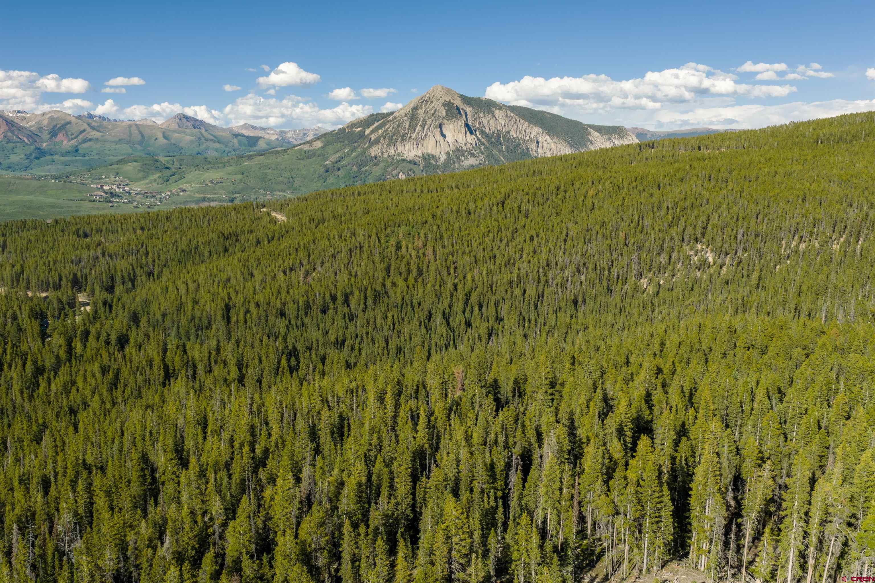 5350 Wildcat Trail Crested Butte, CO 81224 - Photo 13 of 20 a view of a lush green forest with mountain