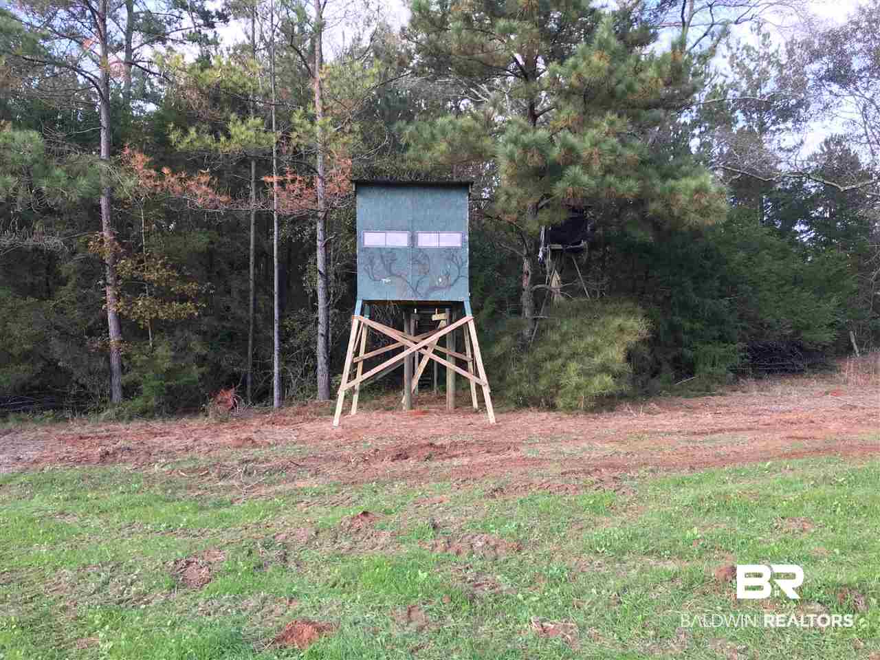 1178 Dry Lake Road Luverne, AL 36049 - Photo 4 of 50