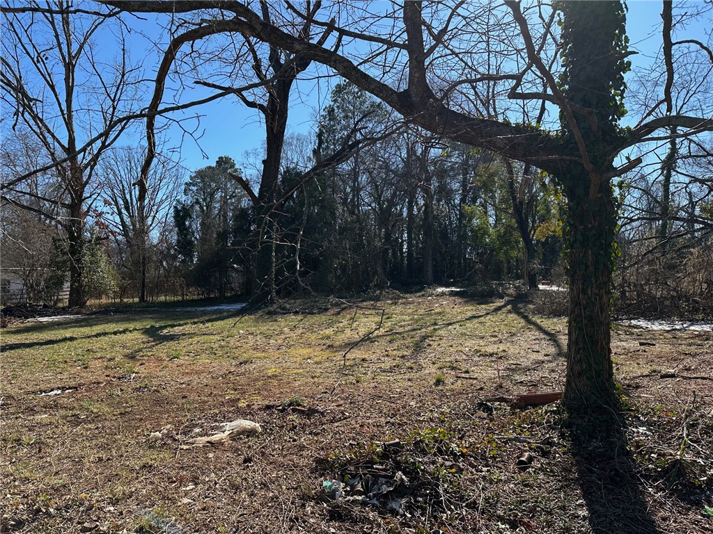 1307 West End Avenue Anderson, SC 29625 - Photo 3 of 7