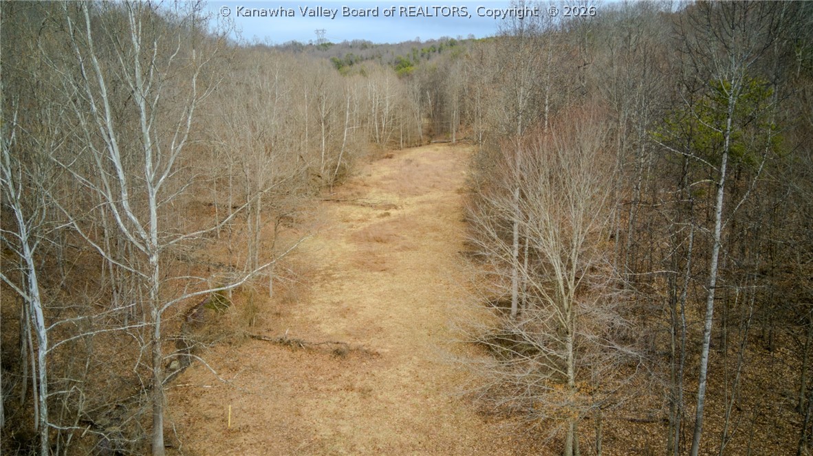0 Evansview Road Evans, WV 25241 - Photo 24 of 41 Gallery Image 24