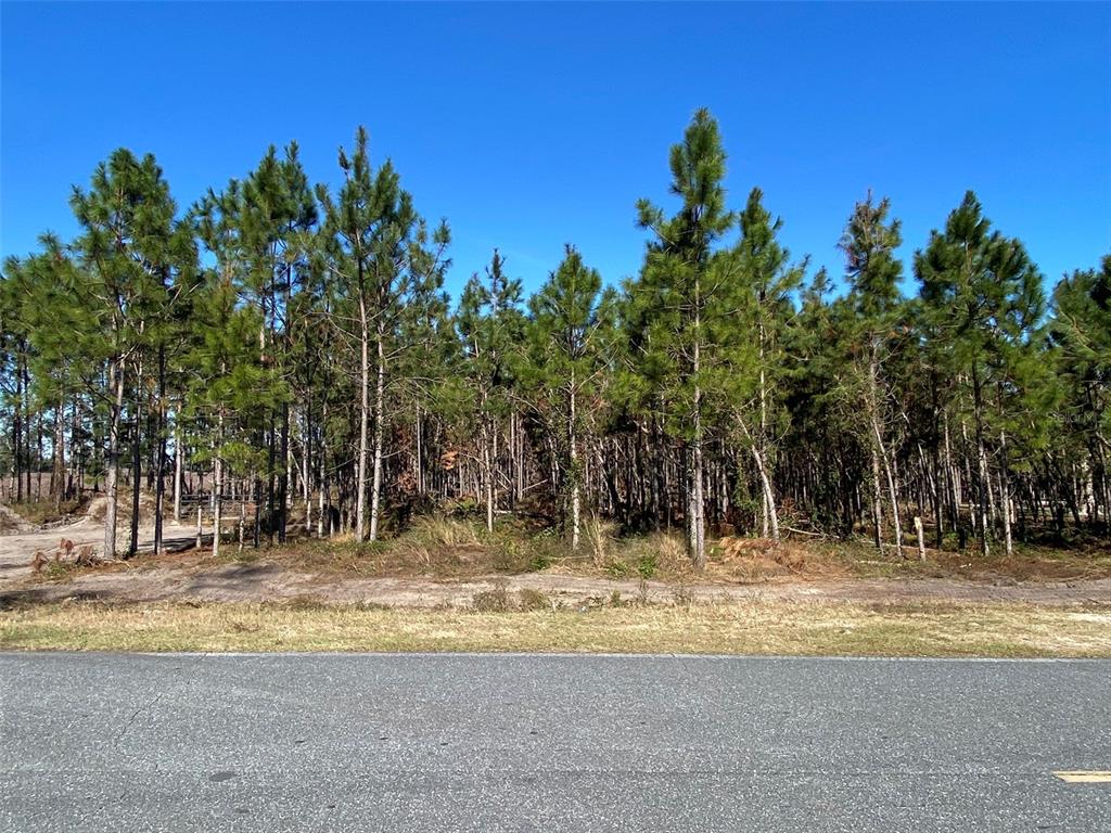 2988 Southwest County Rd 534