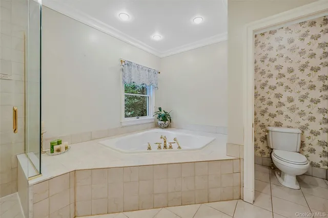 a bathroom with a bathtub and a toilet