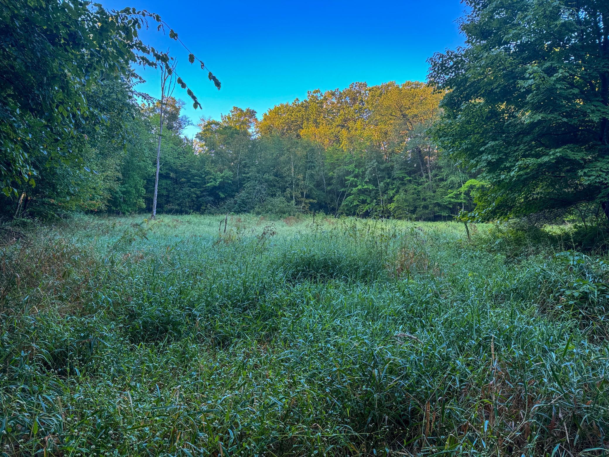 Tba 230th Street Baldwin, WI 54002 - Photo 11 of 28