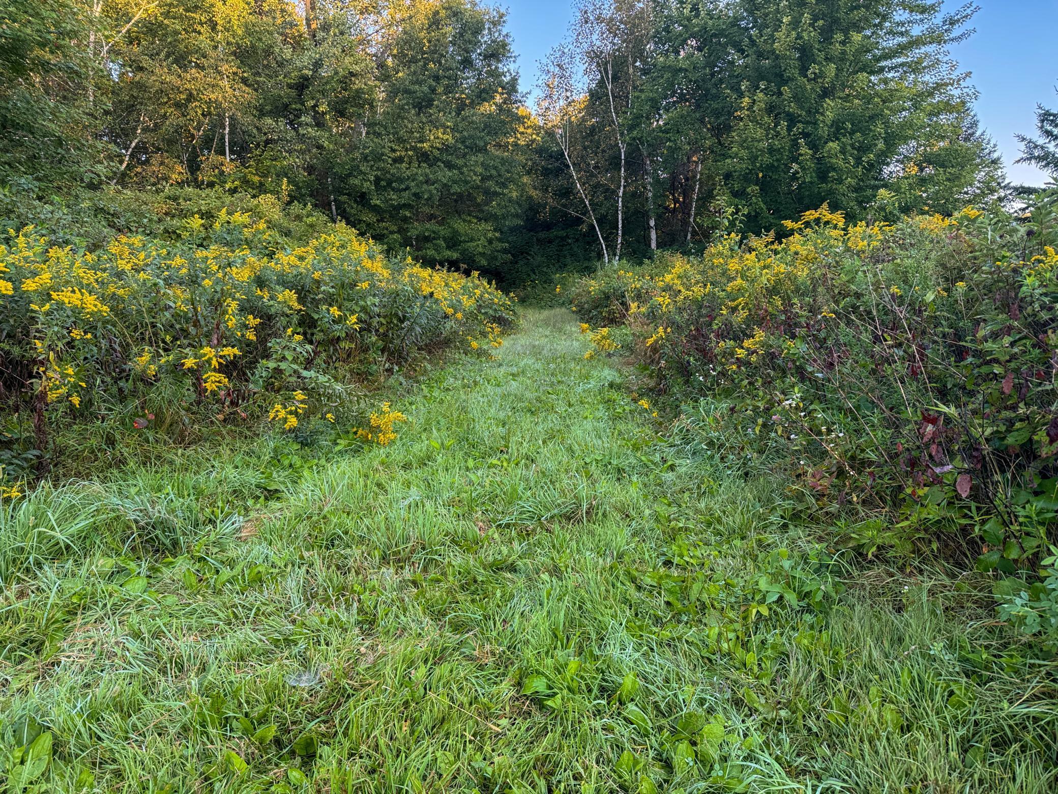 Tba 230th Street Baldwin, WI 54002 - Photo 10 of 28