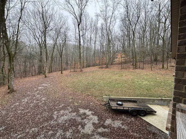 a view of a forest with trees in the background