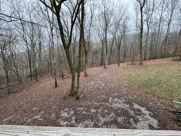 a view of backyard and trees